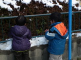 img0010.jpg