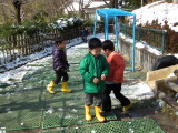 img0014.jpg