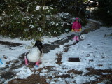 img0016.jpg
