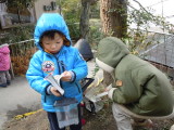 img0002.jpg