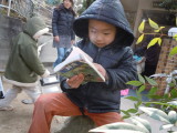 img0003.jpg