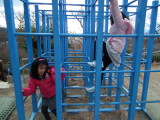 img0013.jpg