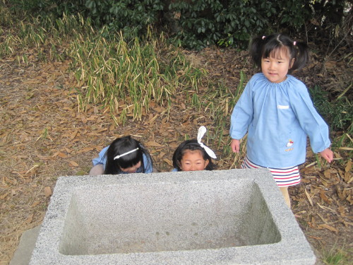 img0031.jpg