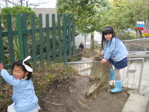 img0051.jpg