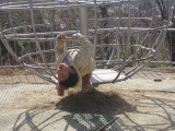img0002.jpg