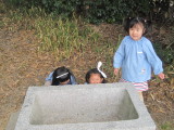 img0031.jpg