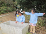 img0032.jpg