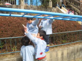 img0040.jpg