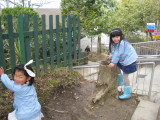 img0051.jpg