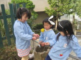 img0054.jpg
