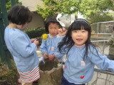 img0055.jpg