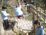 img0056.jpg