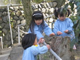 img0064.jpg