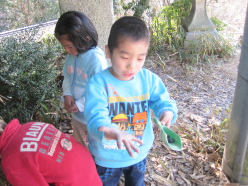 img0041.jpg