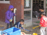 img0004.jpg