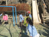 img0009.jpg