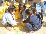 img0015.jpg