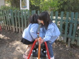 img0017.jpg