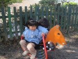img0018.jpg
