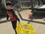 img0031.jpg
