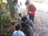 img0040.jpg