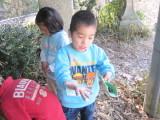 img0041.jpg