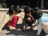 img0043.jpg