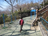 img0049.jpg