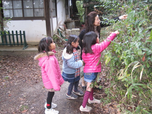 img0003.jpg
