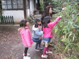 img0003.jpg