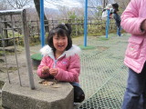 img0025.jpg