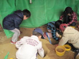 img0031.jpg