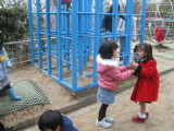 img0042.jpg
