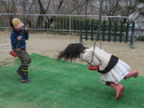 img0055.jpg