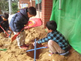 img0071.jpg