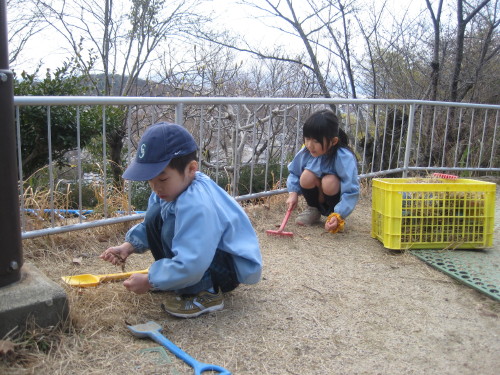 img0003.jpg