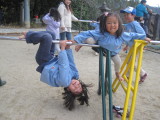 img0006.jpg