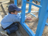 img0026.jpg