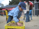 img0027.jpg