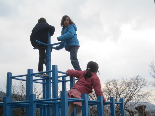img0012.jpg