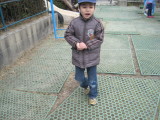 img0003.jpg
