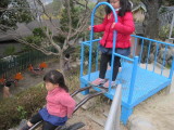 img0009.jpg