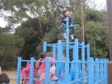 img0013.jpg
