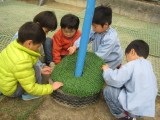 img0036.jpg