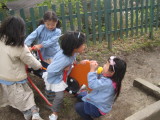 img0038.jpg