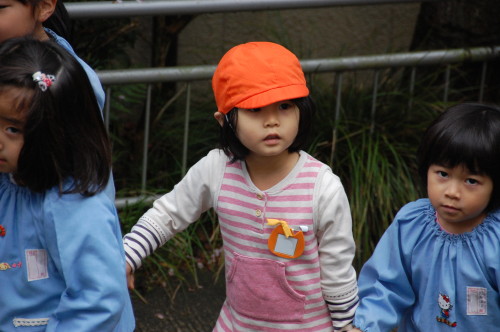 img0036.jpg