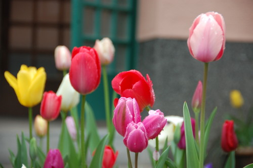 img0052.jpg
