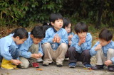 img0003.jpg
