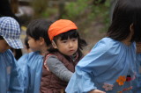 img0031.jpg