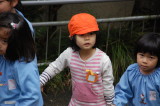 img0036.jpg